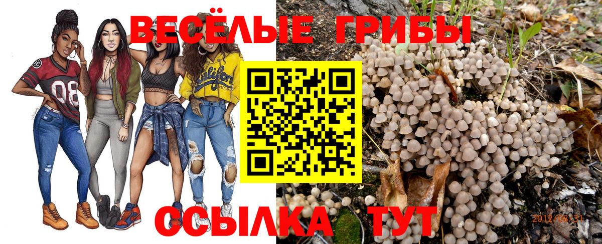 Псилоцибиновые грибы мицелий  Вход с VPN  Егорьевск 